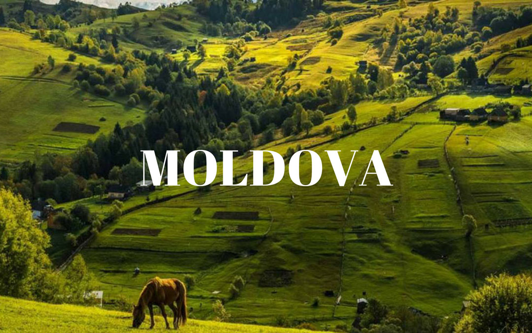 молдова, товарный знак, agepi